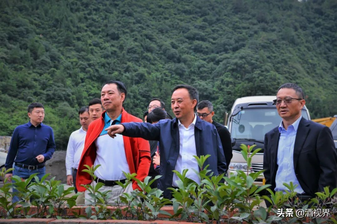 云南白药王明辉视频,云南白药陈发树王明辉