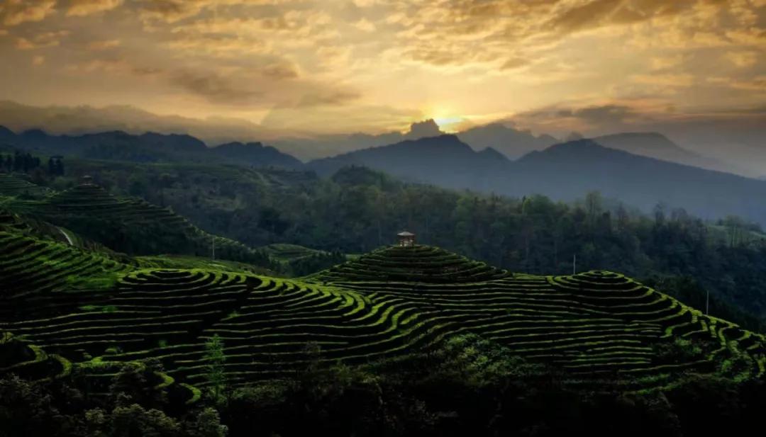 跟着局长游，一起探秘神秘的宜宾珙县