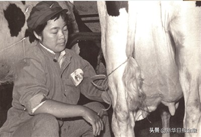 卫岗奶业集团,卫岗乳业驰援南京