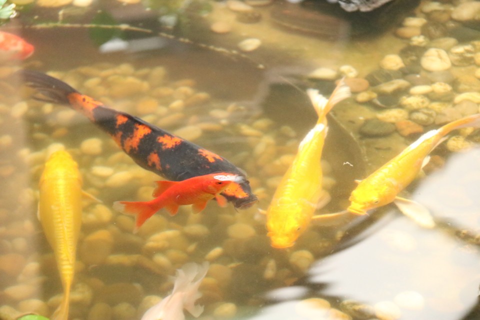 沐春简历,沐春个人资料