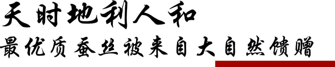 真正的蚕丝被100%桑蚕丝北极绒,推荐一款纯天然蚕丝被