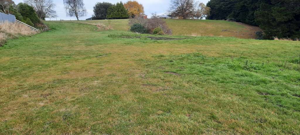 100万人民币在新西兰能买多大房子,100元能在新西兰买些什么