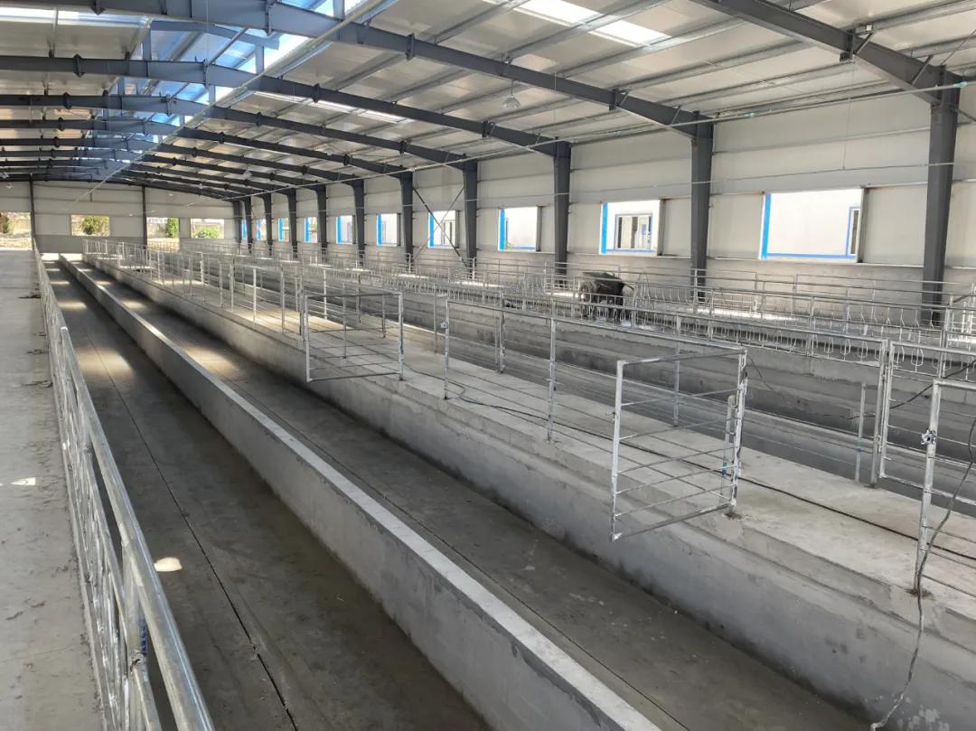 喜羊羊搭房子,喜羊羊搬新房