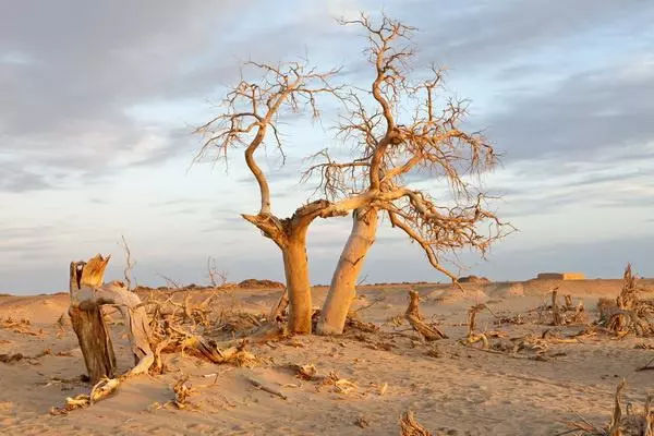 陶冶重庆|511，穿越千年遇见你！