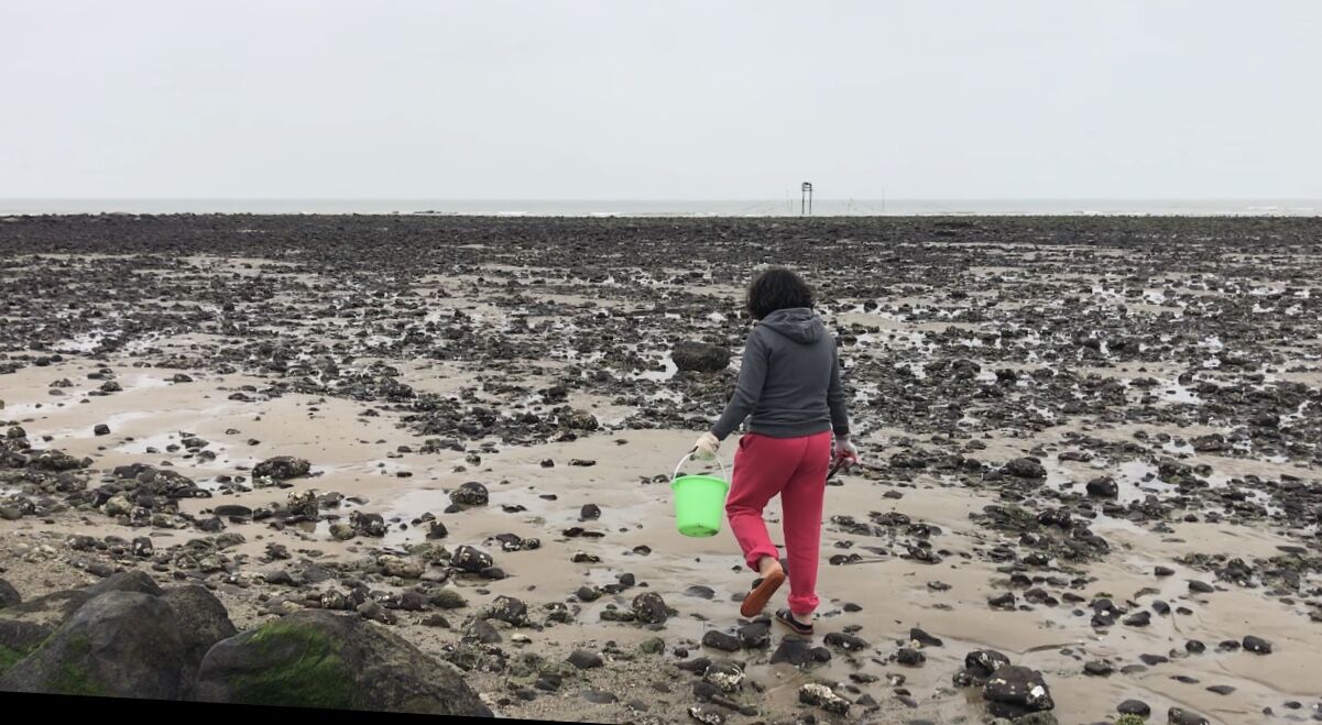 再说房车人是咋算账的；1212房车旅行车的事很担心；赶海