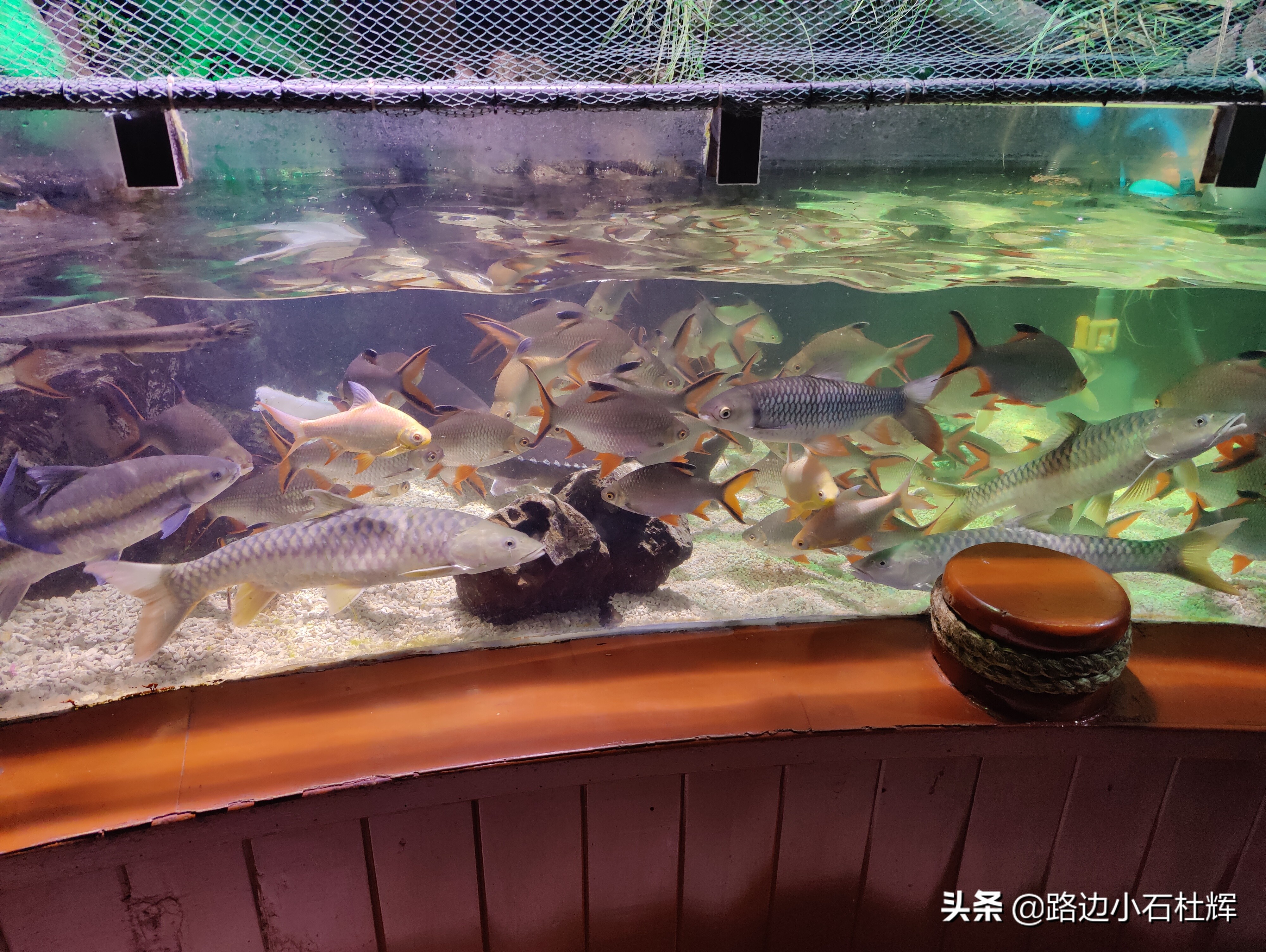 北京海洋馆海底世界和动物园攻略,游北京动物园海洋馆