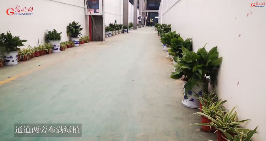 新冠肺炎医疗费,新冠肺炎确诊以后医药费