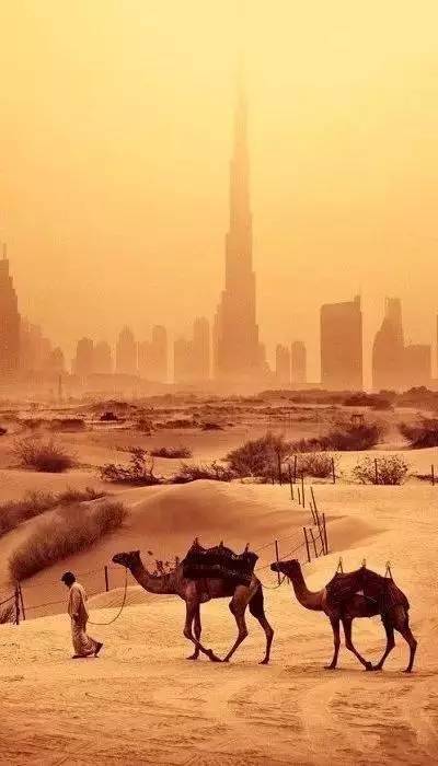 迪拜这座城市在世界排名第几,迪拜在世界城市中的排名