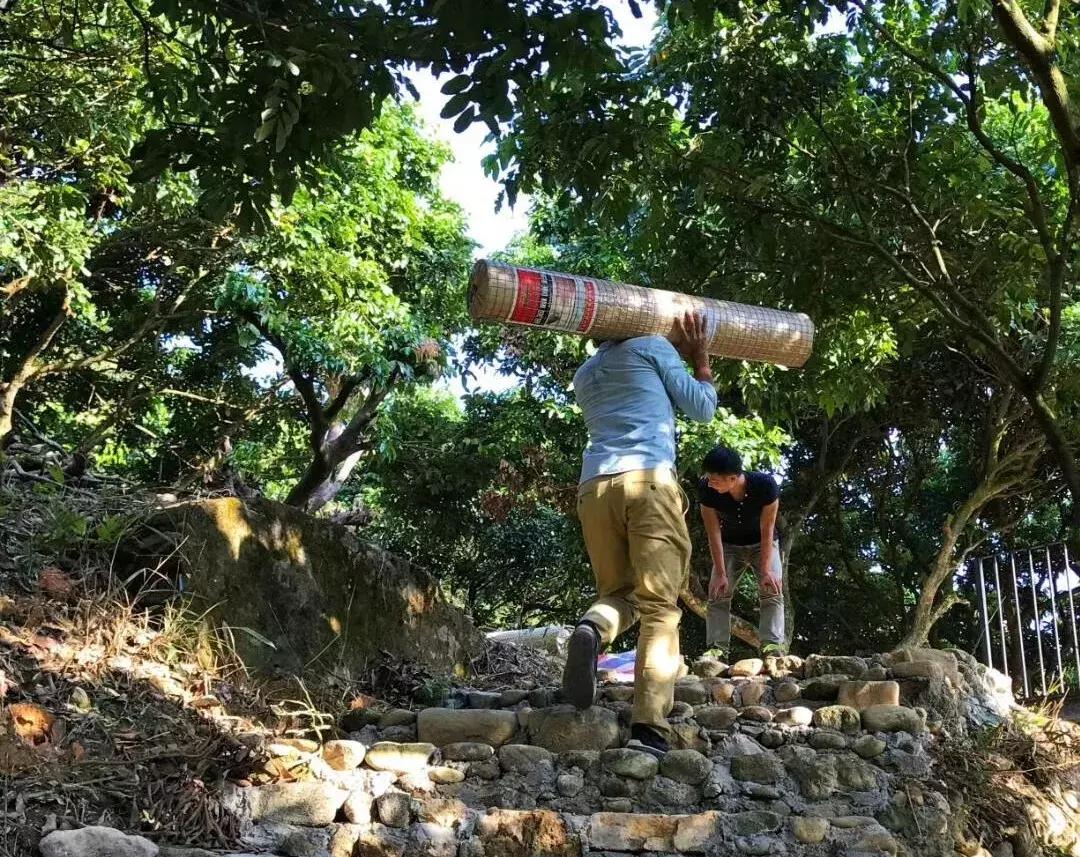 放弃世界顶尖银行工作,他回村当木匠,在废墟上盖出了爆美小院!