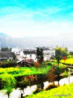 收藏各省老酒,收藏全国各地的牌子