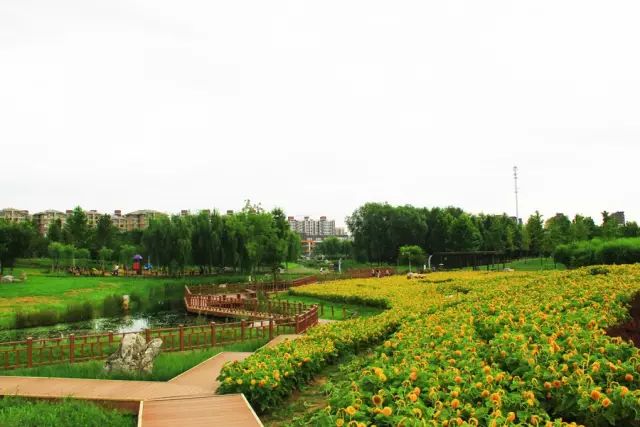 北京房山团建踏青地点推荐,北京房山春季旅游最佳去处