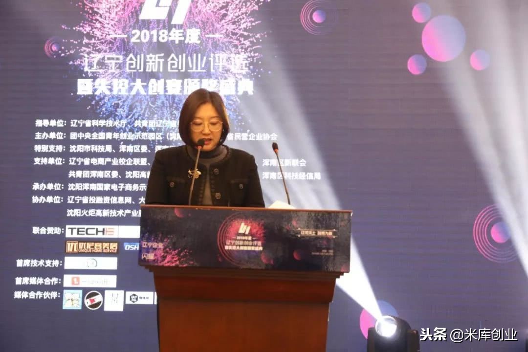 辽宁省创业创新比赛,2018辽宁青年创新创业大赛