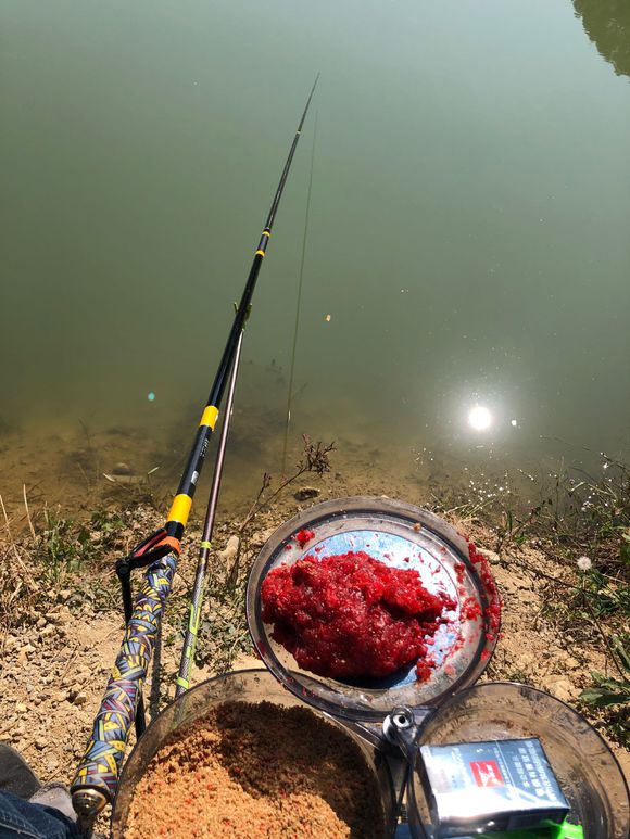 春季钓鱼如何诱鱼,春季钓鱼诱鱼