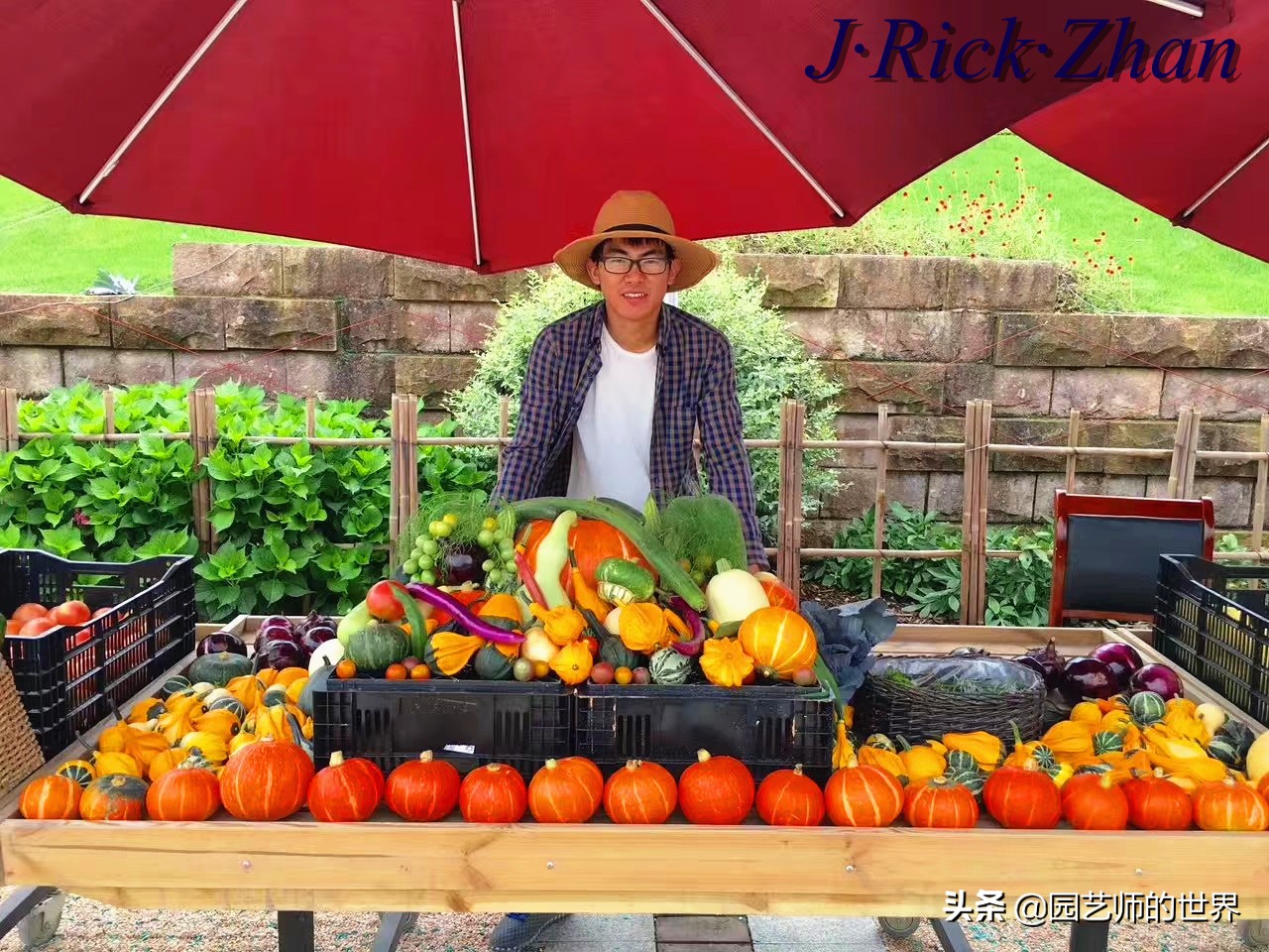 城市蔬菜园景观设计,蔬菜花园造型