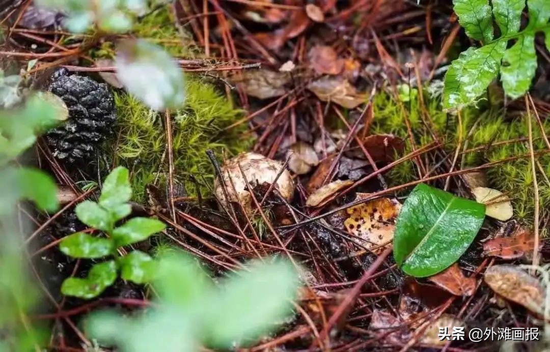 *疆新**首个奢华酒店开业，厦门W也要来了，上海天文馆终于开门迎客