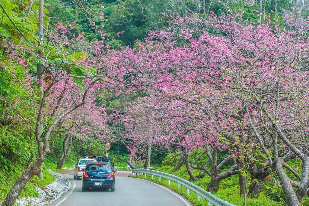 日本冲绳好吗,日本冲绳可以潜水吗