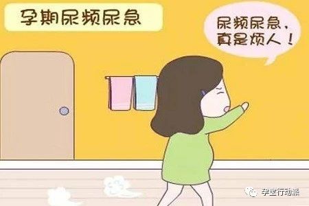 孕期6周指南,孕期周刊第93周