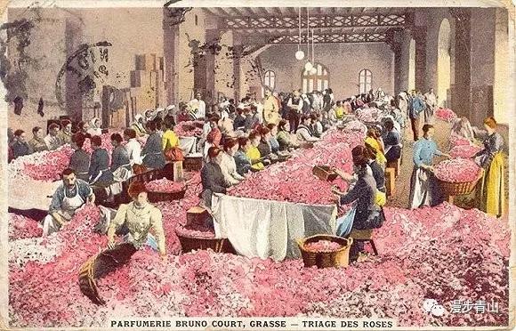 邂逅深秋与美同行,邂逅深秋纯音乐