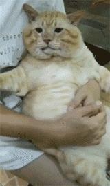 爱我，就给我舔屁股吧