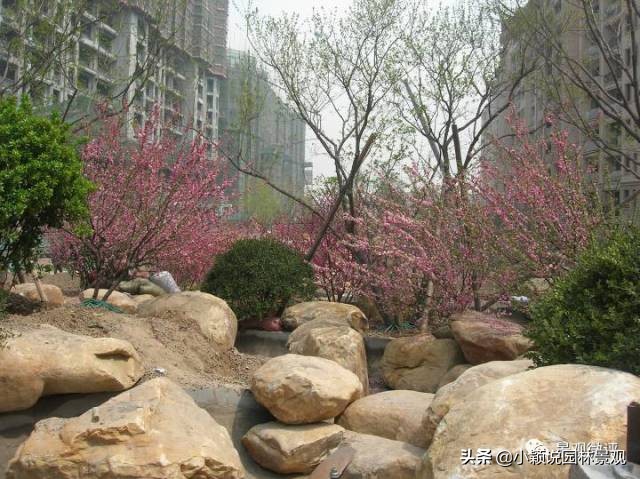 住宅小区植物配置方案,植物种植小技巧一览表图