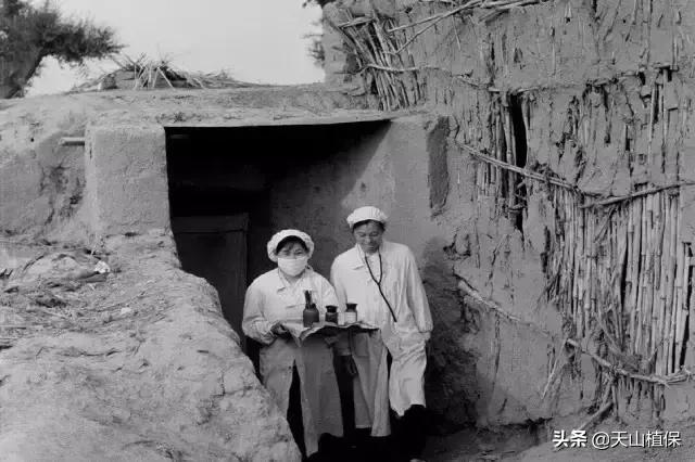 伟大的新疆,伟大的阿勒泰