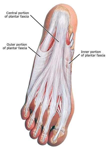 脚背筋膜炎医学科普视频,脚底筋膜炎科普知识