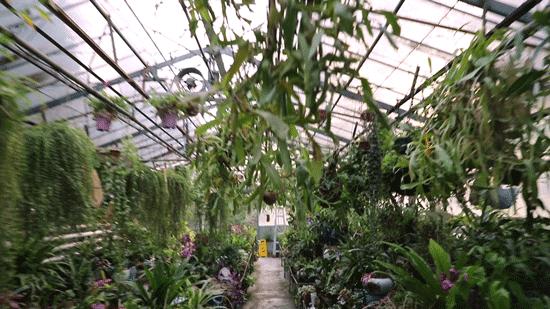 深圳大学游玩攻略一日游,深圳大学打卡攻略