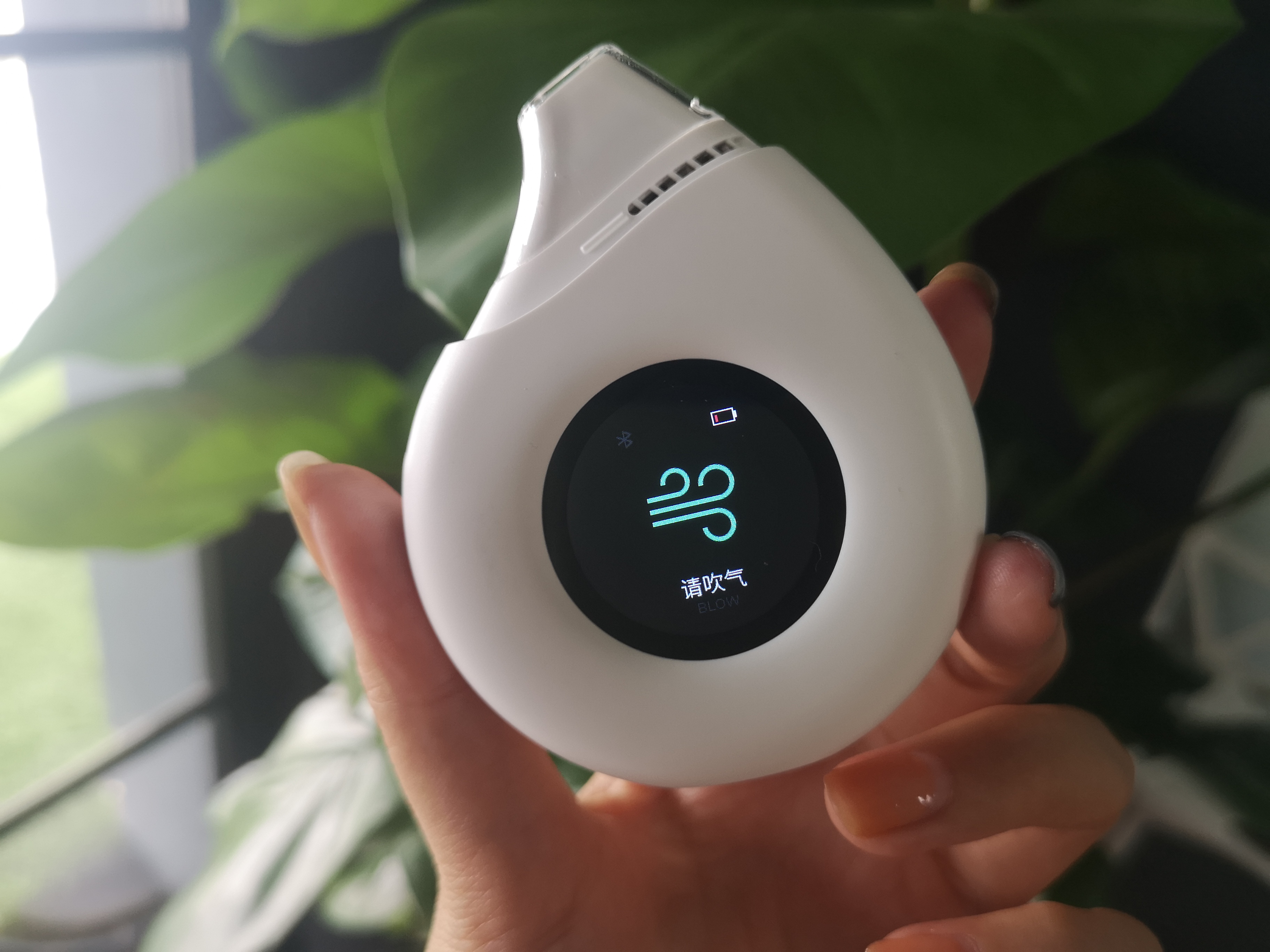 生酮减脂实测第二天,生酮减脂测评