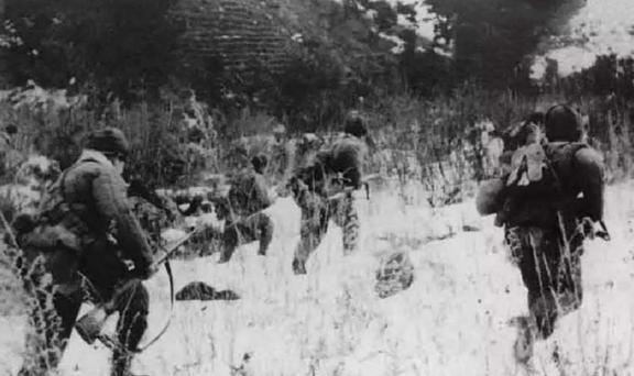 40军邓岳,邓岳老红军