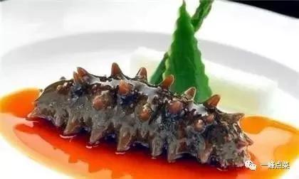 海参十大产地排名,国外十大海参官方排名