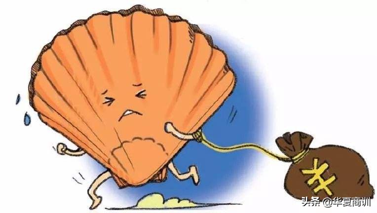 扇贝跑路事件,国资入主后獐子岛的扇贝还会跑吗