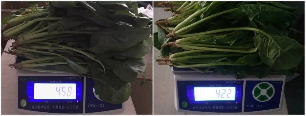 告别嵌入空间不足难题,美菱CHiQ“M鲜生”超薄冰箱评测