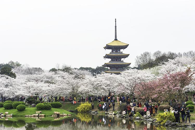 被困在外地的兄弟姐妹们,被困在屋子里的兄妹