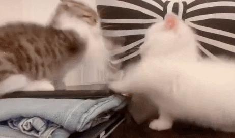 手艺人靠修复化妆品赚钱,修复化妆品月入20万