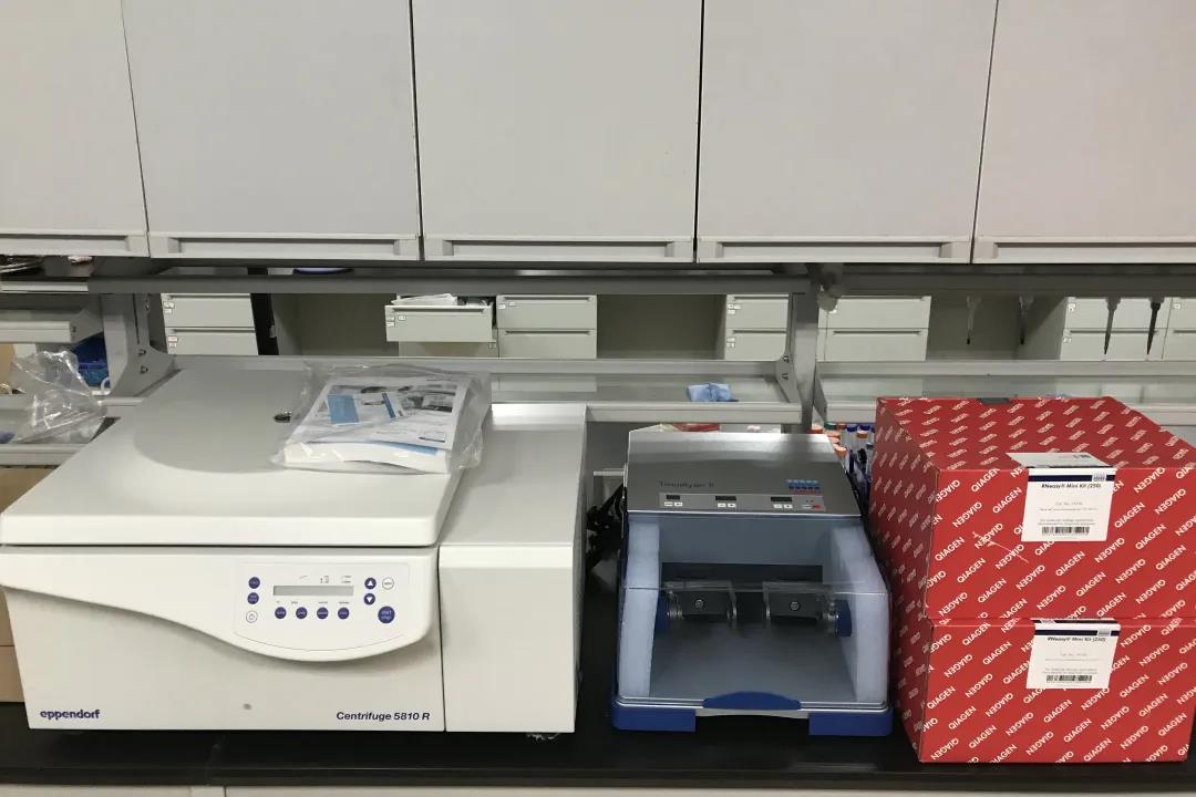 金银花1百斤袋子,金银花1斤1袋