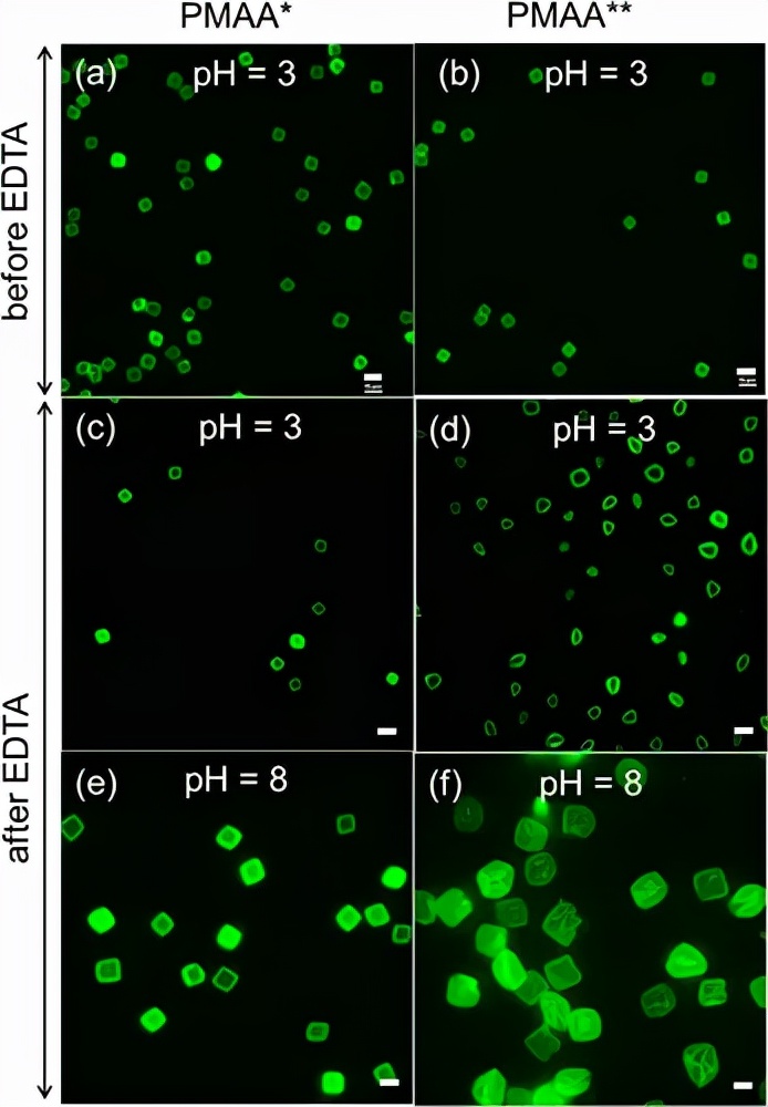 macromolecules怎么样,macromolecules是什么