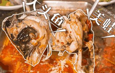 爽爆美蛙鱼头火锅,陕西汉中美蛙鱼头优惠