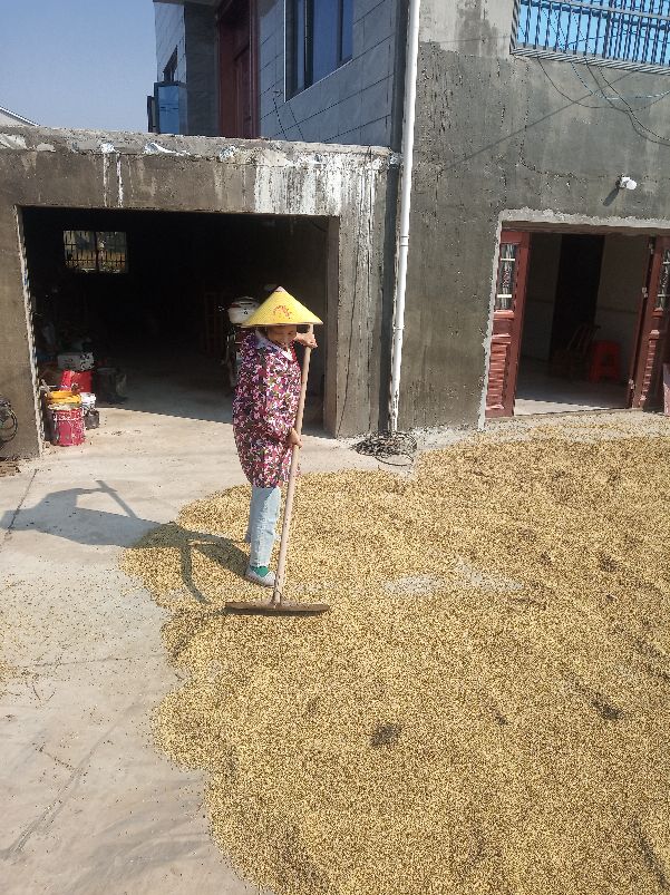 农村出嫁女因为土地吵架如何解决,农村嫁出去的女儿没有土地