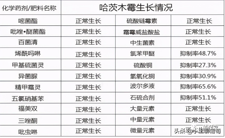有病治病没病可以养根护根,有病治病没病杀菌