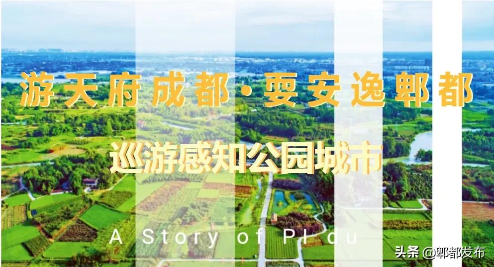 红光新城西安市,红光新城