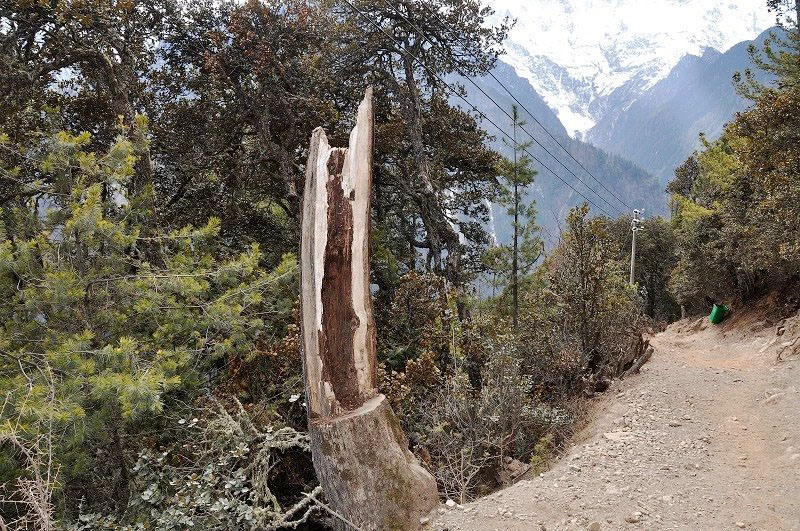 雪山脚下的雨崩村徒步,雨崩村徒步之旅