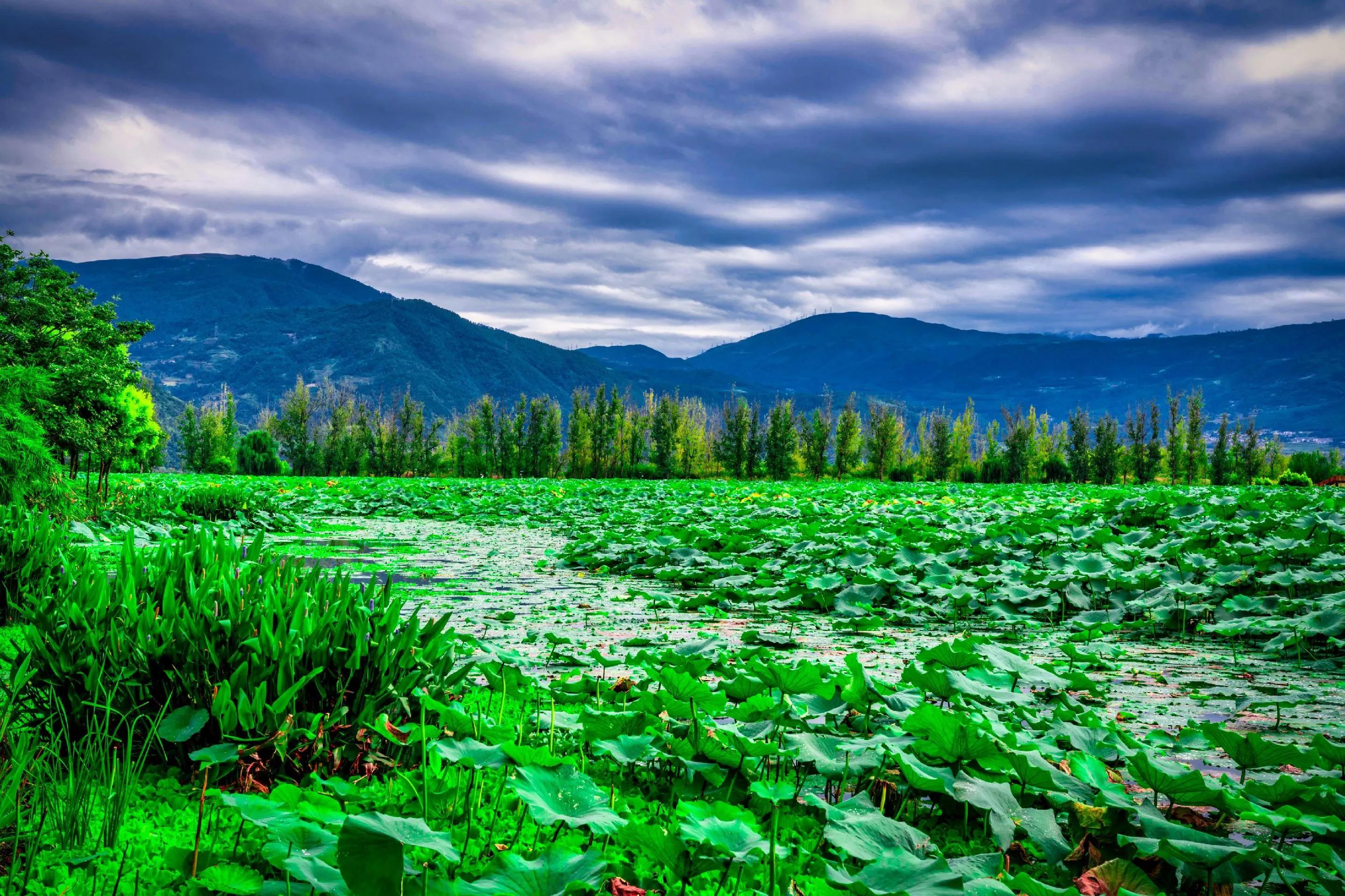 西昌邛海湿地公园旅游攻略,成都到西昌邛海自驾游攻略