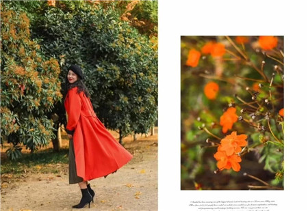 一件Cashmere就是最好的审美：最值得入手的羊绒单品怎么选？