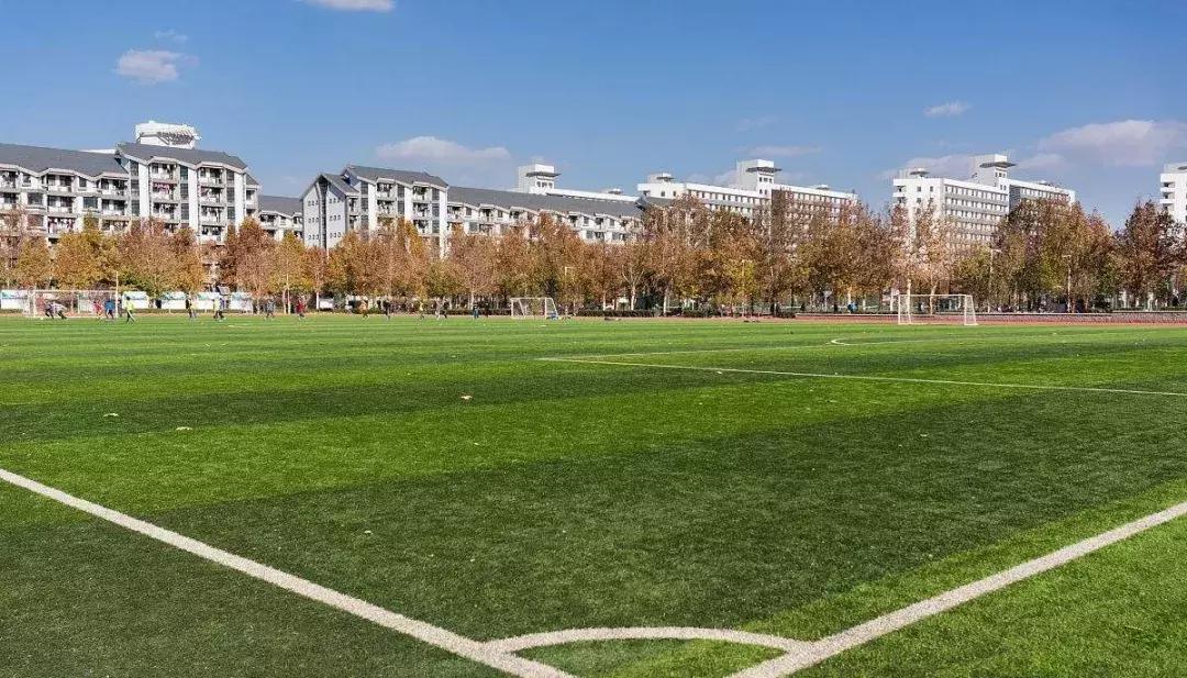 清华教授培养普通人,清华教授教育孩子方法