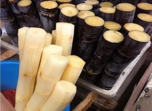 各种常吃水果名和图片,喜欢吃水果了解水果种类