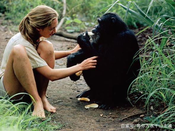 希望的理由,希望的理由小说