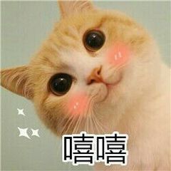 长脸菱形脸妆容与发型,长脸不同风格的妆容