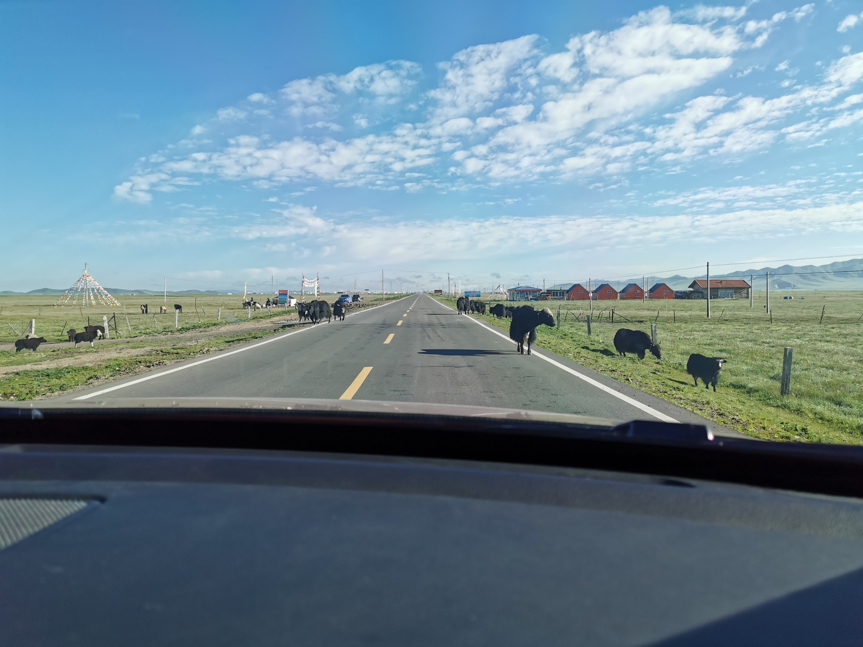 自行倒胎之后竟然真的出现了一点小故障,好在这样可以解决