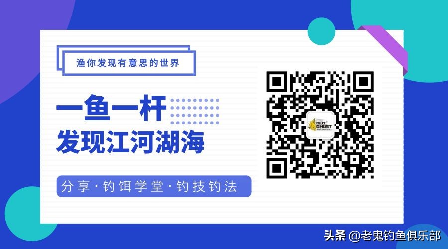 单开九一八钓大鱼,单开九一八钓罗非