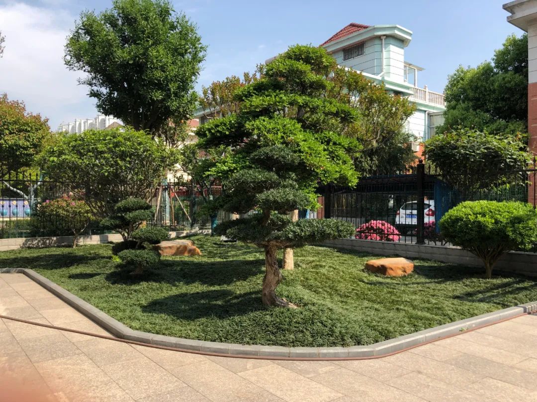 江阴新桥最美庭院,江苏江阴阳台风景